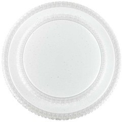 Светодиодный настенно-потолочный светильник с пультом Floors 2041/EL