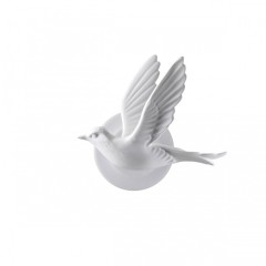 Настенный гипсовый светильник Odeon Light LED 3W 122Лм 3000K COLOMBELLA 4341/3WL