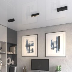 Novotech EOS 359760 Черный накладной поворотный светодиодный светильник книжка шириной 20см, глазковые светодиоды, CCT перекл. цветовой температуры на драйвере, LED 12Вт 540Лм CRI90 26° 2700;3200;4000К IP20 220В, коэф. пультсации < 1%