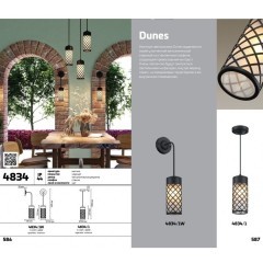 Уличный подвесной светильник Odeon Light 4834/1 DUNES IP44 под лампу 1xE27 1*60W