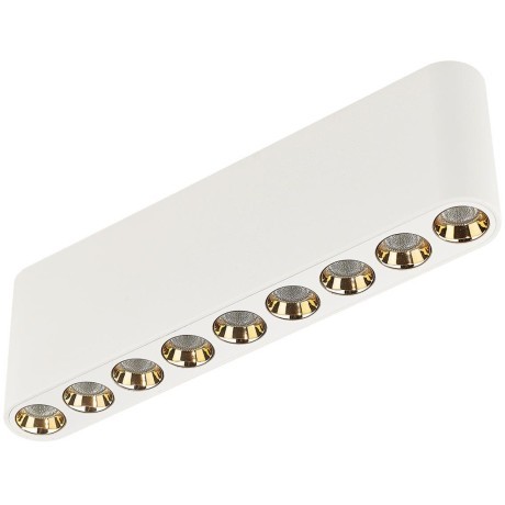 Потолочный светильник LED 3000K Odeon Light SMALL 7091/21CL