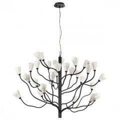 Люстра G4 Odeon Light GARDI 5090/30