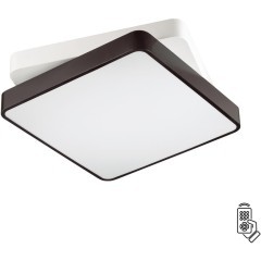 Потолочный светильник светодиодный с пультом Agatha 4511/72CL