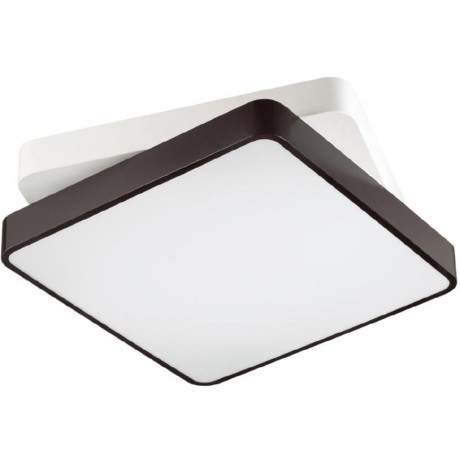 Потолочный светильник светодиодный с пультом Agatha 4511/72CL