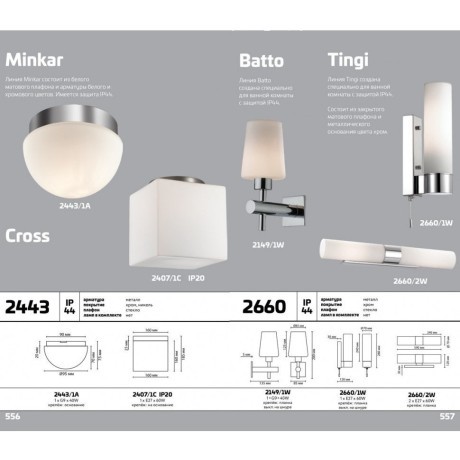 Потолочный светильник влагозащищенный Cross 2407/1C