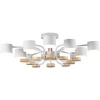 Потолочный светильник GX53 220V Lumion RONDO 8196/10C