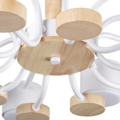 Потолочный светильник GX53 220V Lumion RONDO 8196/10C