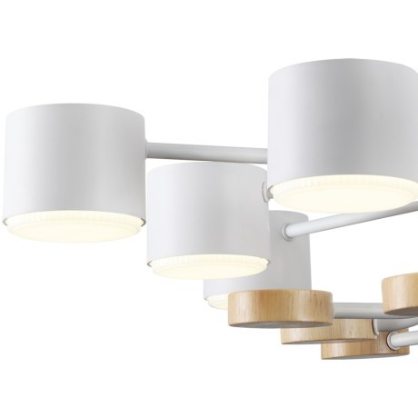 Потолочный светильник GX53 220V Lumion RONDO 8196/10C