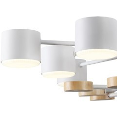 Потолочный светильник GX53 220V Lumion RONDO 8196/10C