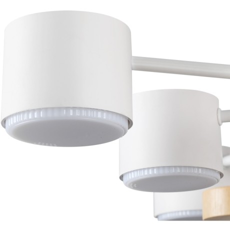 Потолочный светильник GX53 220V Lumion RONDO 8196/10C