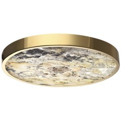 Настенно-потолочный светильник ODEON LIGHT BERGI 5079/40L