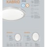 Светодиодный настенно-потолочный светильник с пультом Kabrio 2049/DL