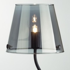 Настольная лампа G9 Lumion SMOKY 6570/1T