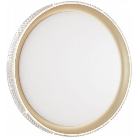 Настенно-потолочный светильник светодиодный для ванной с пультом регулировкой цветовой температуры и яркости ночным режимомShiny 3054/DL IP43