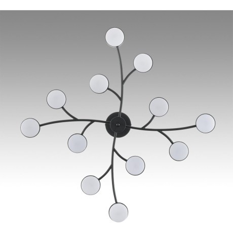Люстра GX53 Lumion TORINA 8117/12