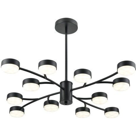 Люстра GX53 Lumion TORINA 8117/12