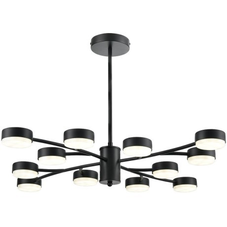 Люстра GX53 Lumion TORINA 8117/12