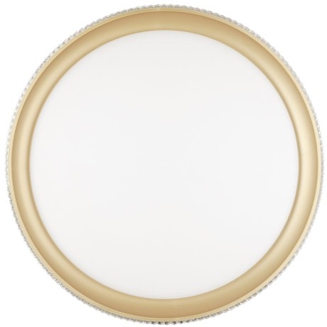 Настенно-потолочный светильник светодиодный для ванной с пультом регулировкой цветовой температуры и яркости ночным режимомShiny 3054/EL IP43