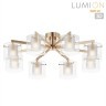 Люстра потолочная E14 Lumion VERDI 6587/8C