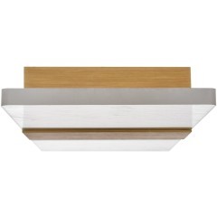 8192/6WL Настенный светильник Lumion Ra80 Lm750 LEDIO LED 6W 3000-6000К 220V LUIS