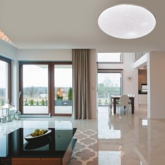 Настенно-потолочный светильник Sonex 2052/DL ABASI IP43 светодиодный LED 48W