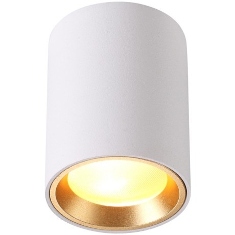 Уличный потолочный светильник Odeon Light 4206/1C AQUANA под лампу 1xGU10 50W