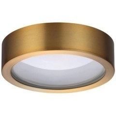 Настенно-потолочный светильник Odeon Light 4342/7CL REUS светодиодный LED 1*7W