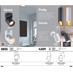 Уличный потолочный светильник Odeon Light 4207/1C CORSUS IP54 под лампу 1xGU10 10W