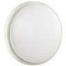 Настенно-потолочный светильник Sonex 7628/CL LOSTA IP43 светодиодный LED 30W
