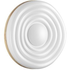 Настенно-потолочный светильник СОНЕКС Sonex FASS WOOD 7674/DL