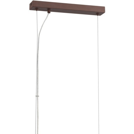 Подвесной светильник Е14 Lumion DANA 8005/4A