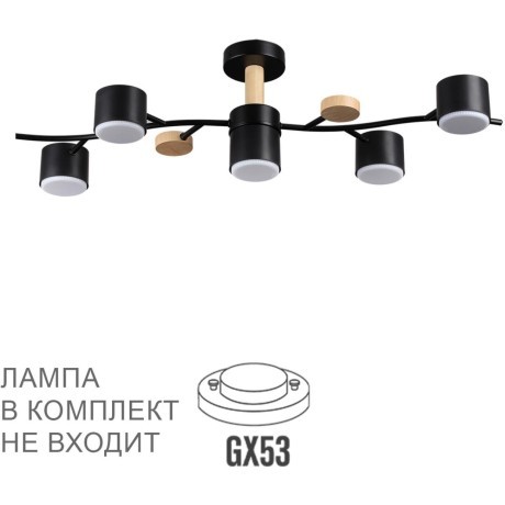 Потолочный светильник GX53 Lumion CRYPTO 8194/5C
