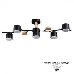 Потолочный светильник GX53 Lumion CRYPTO 8194/5C