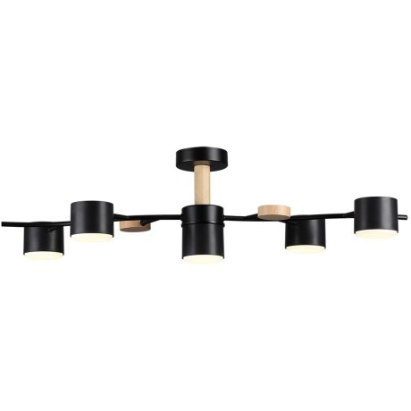 Потолочный светильник GX53 Lumion CRYPTO 8194/5C