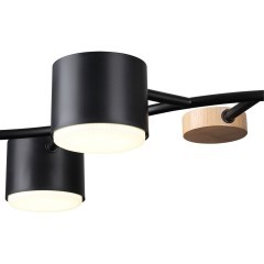 Потолочный светильник GX53 Lumion CRYPTO 8194/5C