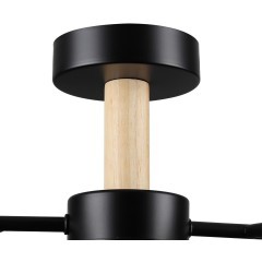 Потолочный светильник GX53 Lumion CRYPTO 8194/5C