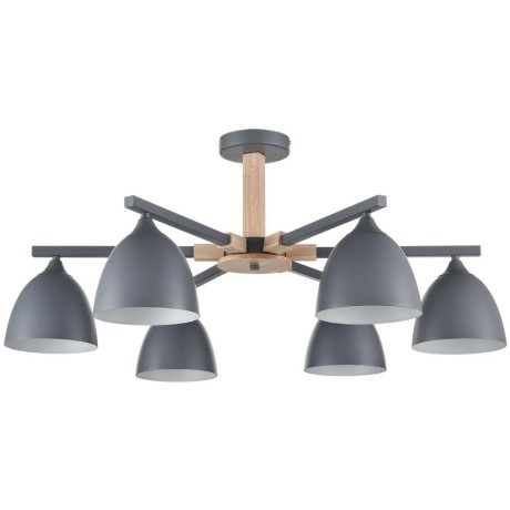 Люстра потолочная Е27 Lumion COLANGE 8096/6C