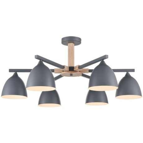 Люстра потолочная Е27 Lumion COLANGE 8096/6C