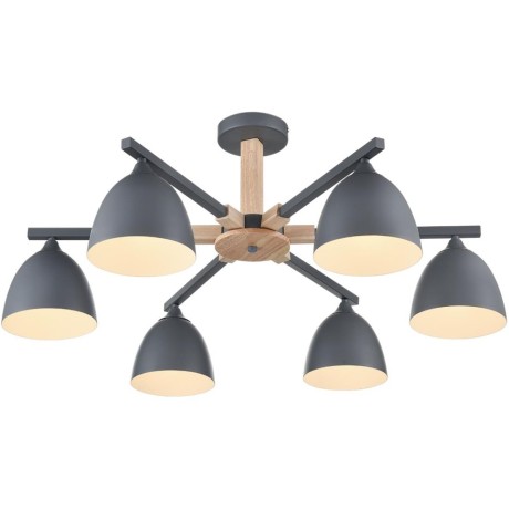 Люстра потолочная Е27 Lumion COLANGE 8096/6C