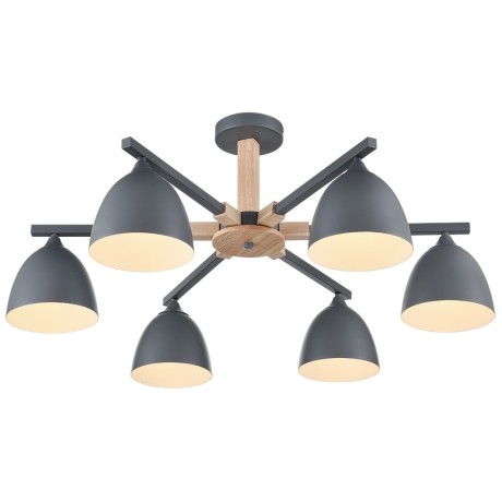 Люстра потолочная Е27 Lumion COLANGE 8096/6C