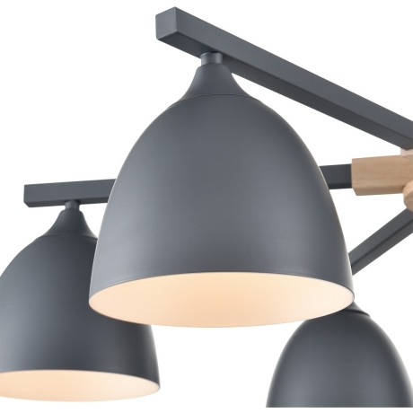 Люстра потолочная Е27 Lumion COLANGE 8096/6C