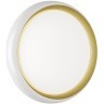 Светильник LED 70Вт 3000-6000К D480 IP43 пульт ДУ Sonex TOFIQ WHITE 7650/EL