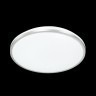 Настенно-потолочный светильник Sonex 3008/DL PARTIAL IP43 светодиодный LED 48W