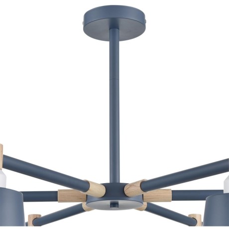 Люстра потолочная Е27 Lumion ROSALINA 8098/6C