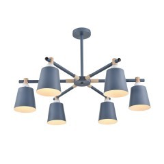 Люстра потолочная Е27 Lumion ROSALINA 8098/6C