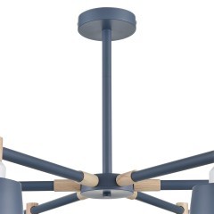 Люстра потолочная Е27 Lumion ROSALINA 8098/6C