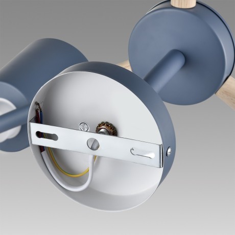 Люстра потолочная Е27 Lumion ROSALINA 8098/6C