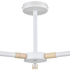 Люстра потолочная Е27 Lumion ROSALINA 8097/3C