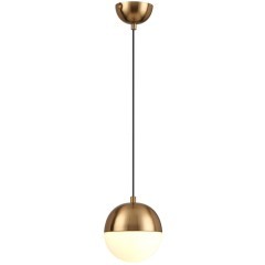 Подвесной светильник Odeon Light 4960/1 PINGA под лампу 1xE27 1*40W