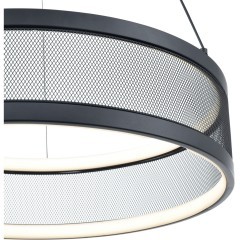 Люстра подвесная LED 38W 3000-6000К Lumion FELISITI 8103/38L